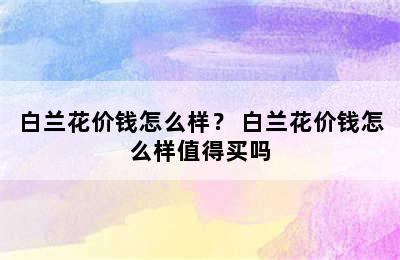 白兰花价钱怎么样？ 白兰花价钱怎么样值得买吗